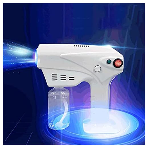 Steam Gun Sprayer, Handheld Uppladdningsbar Sprayer Nano Atomizer Electric Sprayer Fogger, Nano Hair Steam Gun Spray Mister Gun Care Spa Luftfuktare