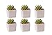 Mini 6 set 2x1.65x2inch square Modern Minimalist White Ceramic Succulent mini Planter Pot/Window Box with Saucer (Square, 2inch)