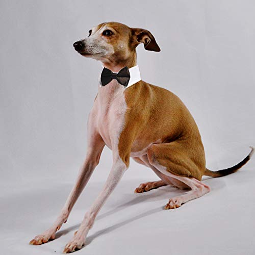 Image of Dog Bow Tie, KOOLMOX Pet Bowtie Collar Black, Adjustable White Pet Tuxedo Collar with Black Dog Neck Bow Tie for Medium Large Boy Dogs Wedding Formal Tuxedo Suit Tux Outfits Birthday Costumes