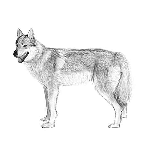 Alarm Clock, KSACLE Wake Up Light Clock for Kids Child Toddler Adults, Digital Sleep Night Light with Temperature Display & Nature Sound - 7 Colors Changing