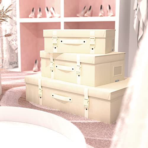 HANGERWORLD Scatola per Vestiti 35x55x20cm in