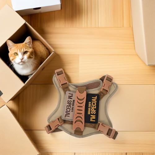 Harnais de chat avec laisse pour accompagner vos voyages et balades - 7
