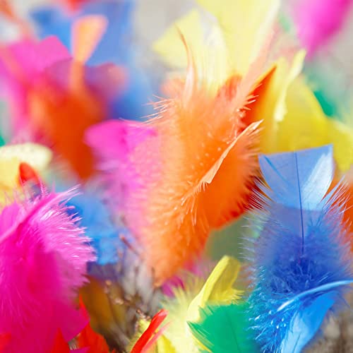 Colorful Turkey Feathers For Diy Crafts 4-6 Inches Dreamcatcher Natural Colored Feathers(200Pcs) #TOP2