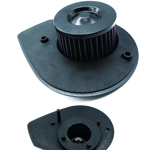 Filtre à air pour moto Harley Davidson Street 500 750 de 2016 à 2020