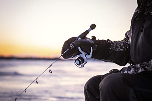Amazon.com: Pure Fishing Brands: Ice Fishing Rods