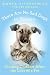 There Are No Sad Dogs in Heaven: Finding Comfort After the Loss of a Pet