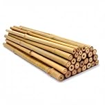 Bamboo Canes for Garden – Strong Natural Garden Canes & Bamboo Sticks for Plants, Durable Plant Support Canes for Climbing Plants, Vegetables & Trees (3ft/4ft/5ft) (10, 5ft)