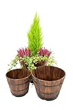 VegTrug Set of 3 Nesting Barrel Planters - Small,Medium,Large