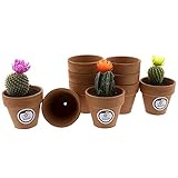 Dimensiones 7.5x7.5x7 cm y 1.4 kg de peso aproximado del pack completo