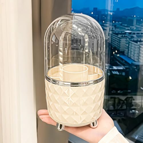 DiexgiyWtCNuV{bNX CNuV[{bNX ϕi[ 360x] hho CNuV[    CNuVz_[() 2 (N[zCg)