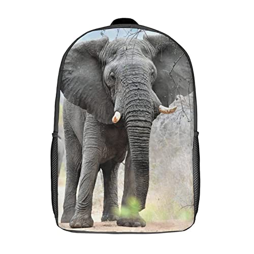 Sac à dos jeunesse grand volume 17" anti-fatigue pour transporter les manuels