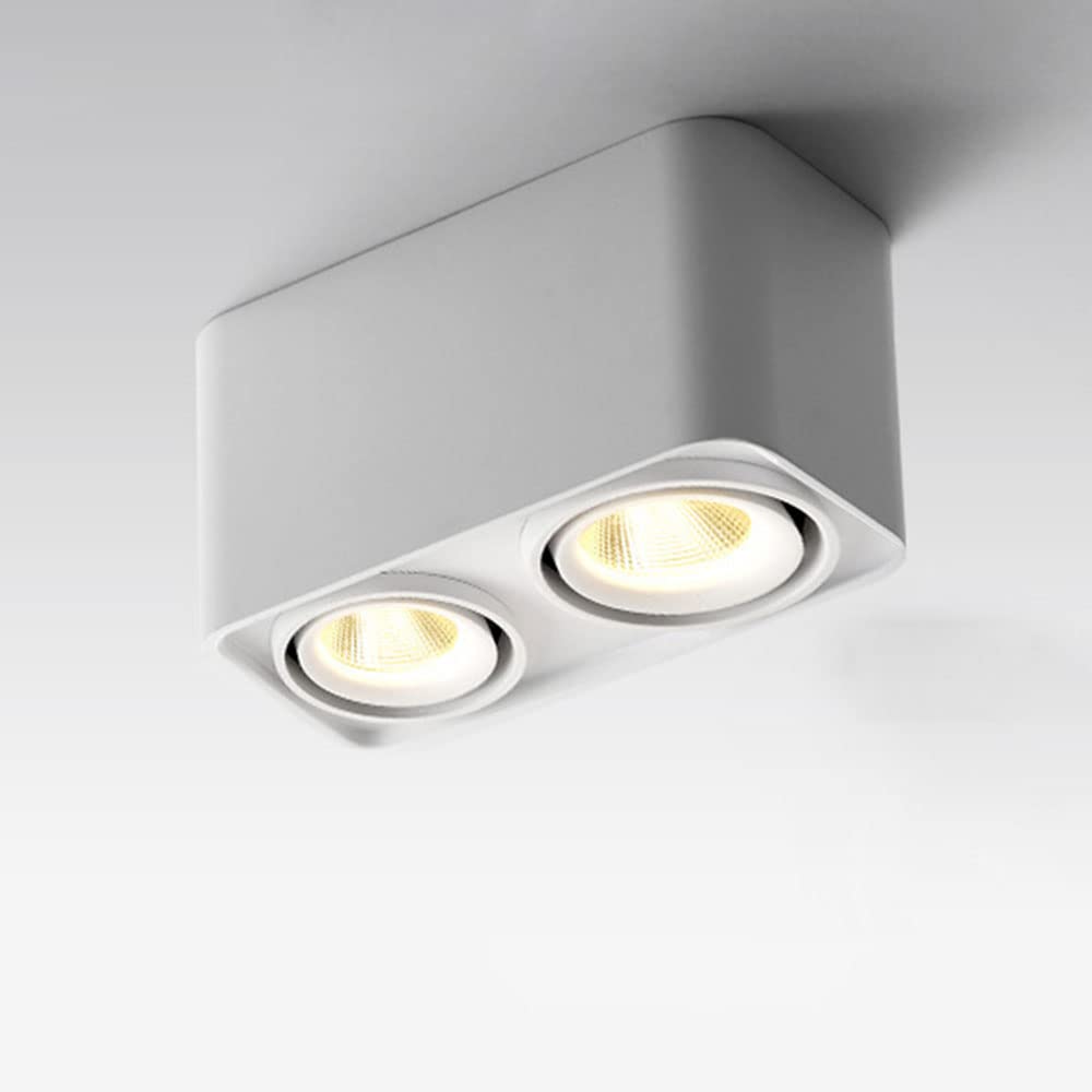 2-Lights LED Ceiling Light Aluminum Anti-Glare Ceiling Lights Irradiation Angle Adjustable Ceiling Lamp Surface Mounted Ceiling Light Fixture for Shop Corridor Living Room