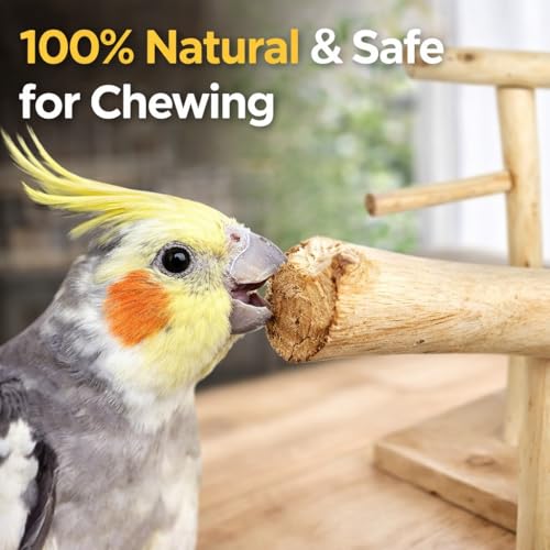 Image of Bird Stand for Parrot, Cockatiel & Lovebirds | Wooden Bird Play Gym with Ladder & Perch | Bird Activity Stand for Cage & Outside | Natural Chew & Exercise Stand for Small Birds