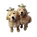 3 unids Nuevo Diseño Mini Sombrero Mexicano para mascotas, Suministros para la...