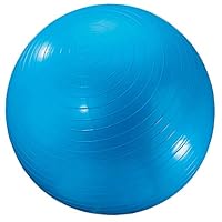Algopix Similar Product 11 - Dick Martin Sports Exercise Ball 24