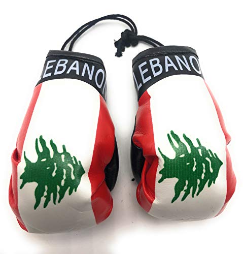 Mini guantes de boxeo colgantes para espejo retrovisor de coche con diseño de Líbano