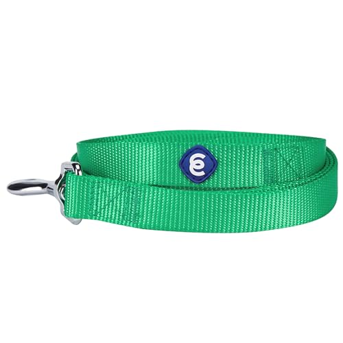 Blueberry Pet Essentials Durable Classic Dog Leash | Basic Nylon Dog Leash | 5ft. x 3/8″ X-Small Dog Leash | Emerald Dog Leash | Standard Dog Leashes & Lightweight Dog Leash for Training Blueberry Pet Essentials Durable Classic Dog Leash | Basic Nylon Dog Leash | 5ft. x 3/8″ X-Small Dog Leash | Emerald Dog Leash | Standard Dog Leashes & Lightweight Dog Leash for Training