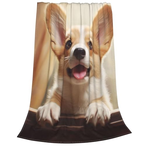 Couverture micro polaire corgi pour soirées cocooning canapé