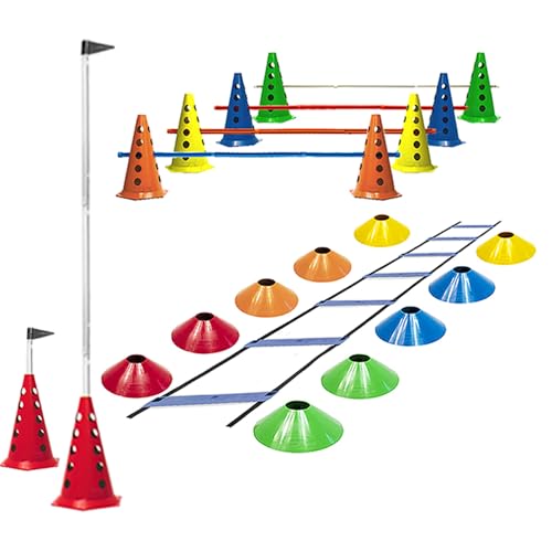 Escada Funcional + 10 Cones Furados C/Barreiras + 10 Pratos