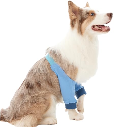Image of Dogs Elbow & Shoulder Protectors for Medium or Large Pets 30lbs to 50lbs - Soft Cotton Brace Pads for Elbow Hygroma, Dysplasia, Osteoarthritis, and Joint Relief, Blue, XXL