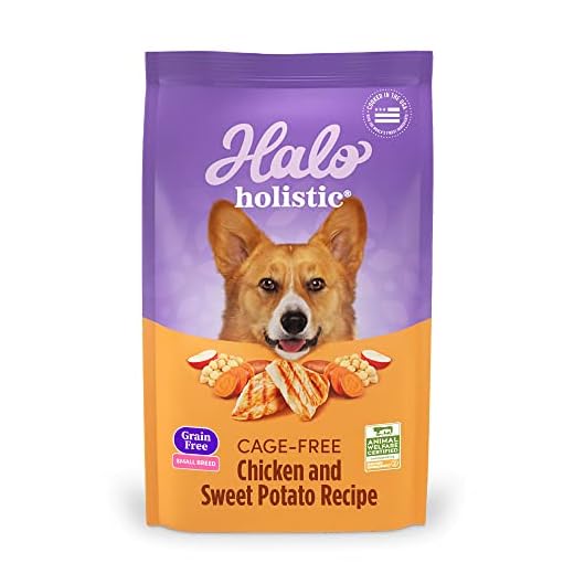 Halo Holistic Small Breed Dog Food, Cage Free Chicken & Sweet Potato Recipe, Grain Free Dry Dog Food, Complete Digestive Health, 10 lb Bag