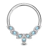 OUFER Septum Rings 16G, 316L Stainless Steel Septum Rings Hoops, Cluster CZ Hinged Segment Daith Hel