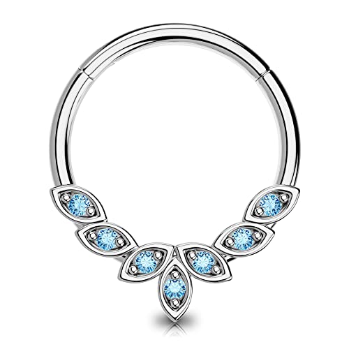 Oufer Septum Rings 16G, 316L Stainless Steel Septum Rings Hoops, Cluster Cz Hinged Segment Daith Helix Piercing Jewelry For Women And Men-Bl 10Mm #TOP14
