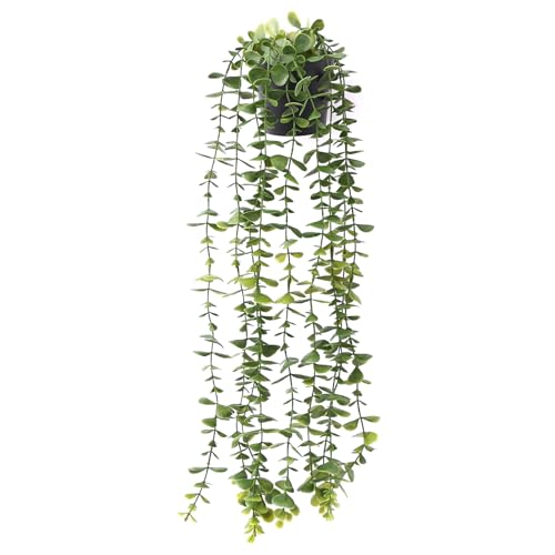 Image of TIED RIBBONS Set of 2 Artificial Hanging Plants with Pot Potted Greenery Eucalyptus Mandala Vine for Wall Home Decor Wall Pot Indoor Outdoor Office Garden Balcony Decoration Items (60 Cm Long)