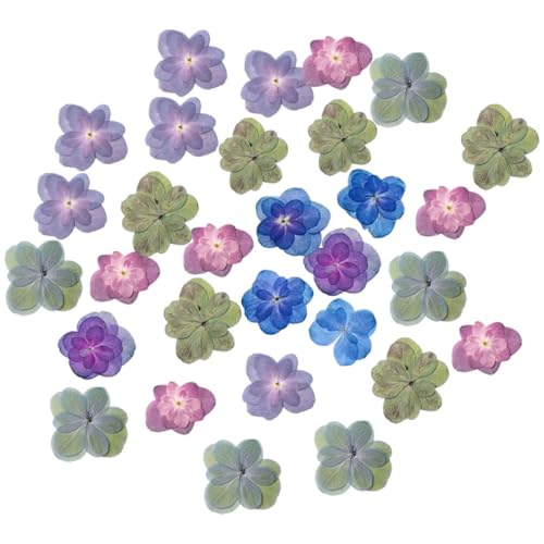 Flores prensadas secas naturales Coheali 30 piezas miniatura 1