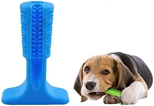 puVybgpuVuV_LpVR\tguVLPAΎC񊚂ނ჏񎩂炪iŎ^(u[)