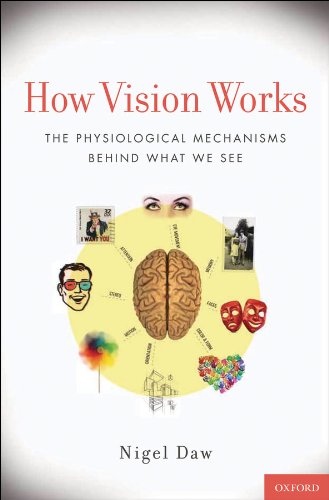 How Vision Works: The Physiological Mechanisms Behind What We See