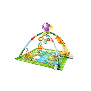 Fisher-Price Regenwoud Muziek & Licht Deluxe Gym – Babygym met Licht, Muziek en Kleurrijke Figuren – 10+ Activiteiten…