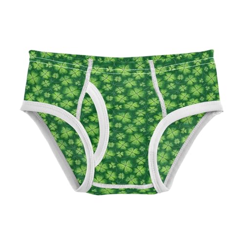 Boys' Exclusive Briefs Toddler Underwear 95% Combed Cotton Boxerbriefs 2T Patrick Green Clover Pattern 26