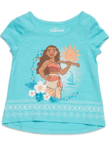 Image of Disney Birthday Girls T-Shirt and Tulle Skirt Outfit Set Toddler to Big Kid Sizes (2T - 14-16)