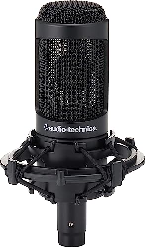 Audio-Technica AT4040 microphone
