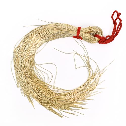 Embroiderymaterial Dapka For Aari , Zardosi Embroidery & Jewellery Work ,1MM, Smooth Finish, Golden Color(100 Gram)