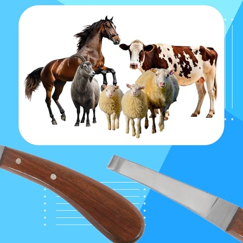 Image of Hoof Knife with Comfortable Wooden Handle - Ergonomic Grip for Horse Farriers and Horse Hoof and Horseshoe Trimming