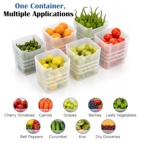 Image of JD FRESH Pack of 6 Fridge Storage Containers for Kitchen /Space Saving and Multiporpose Storage Organaizer for Dry Fruits, Vegetables, Grains, Kitchen Accessories Items for Home(Transparent)