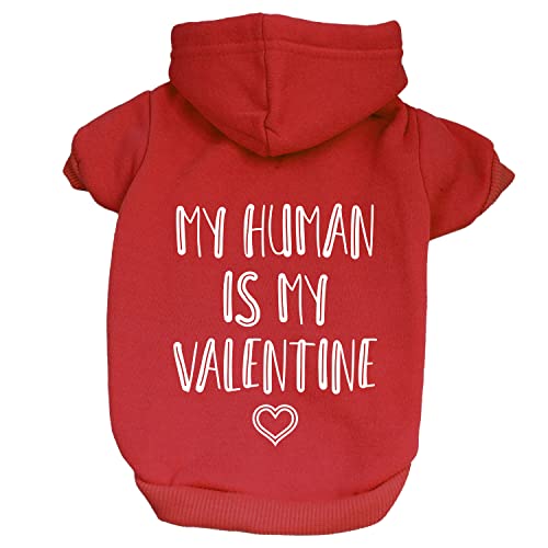 My Human is My Valentine Valentine's Day Dog Hoodie Fleece Lined Pullover Sweatshirt with Leash Hole (Red, Medium 21)