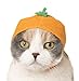 Kitan Club Cat Cap - Pet Hat Blind Box Includes 1 of 6 Cute Styles - Soft, Comfortable - Authentic Japanese Kawaii Design - Animal-Safe Materials, Premium Quality (Fruit)