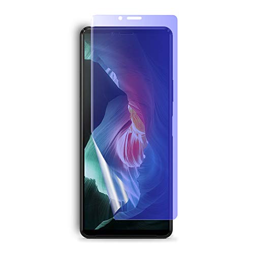 Sony Xperia 10 II ptیtB u[CgJbg SʃJo[ TPUf iXN[veN^[j yXperia10 II docomo NTThR SO-41A au SOV43 Y!mobile film P[X Sc
