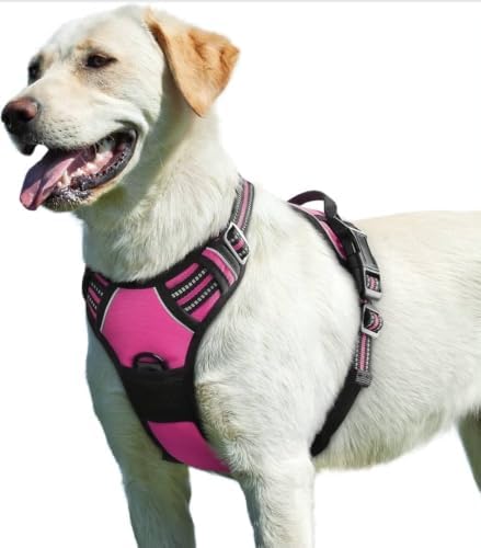 Harnais pour Chien Anti Traction, réfléchissant, Confortable, rég...