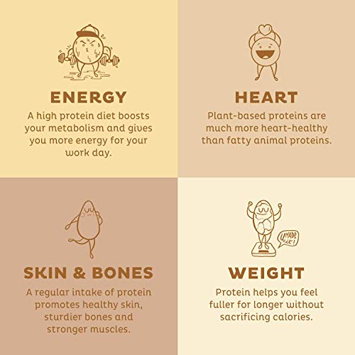 Kos Vegan Protein Powder, No Erythritol, Vanilla - Usda Organic Pea Protein Blend, Plant Based Superfood Rich In Vitamins & Minerals - Keto, Dairy Free - Meal Replacement For Women & Men, 14 Servings #TOP3