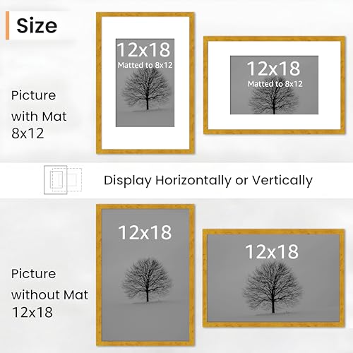 Image of Art Street Synthetic Document Large Size Wall Photo Frame, Set of 2 Big Frames For Wall Artwork, Certificates, Picture & Photographs Home Decor (12x18 Inch, Matted To: 8x12 Inch, Gold)