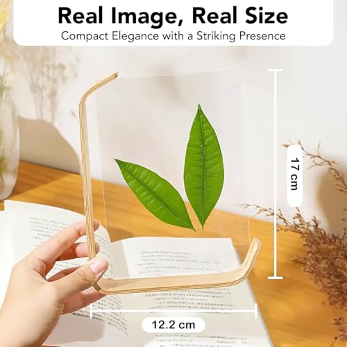 Image of Nostrae by Ekhasa Wooden Photo Frame for Table | 4x6 Inch Acrylic Table Top Photo Frame with Stand | Double-Sided Picture Frame for Desk, Bedroom & Office Decor | Small Aesthetic Photo Frame for Gift