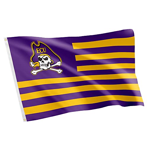 Desert Cactus East Carolina University ECU Flag 3x5 Outdoor (Nation)