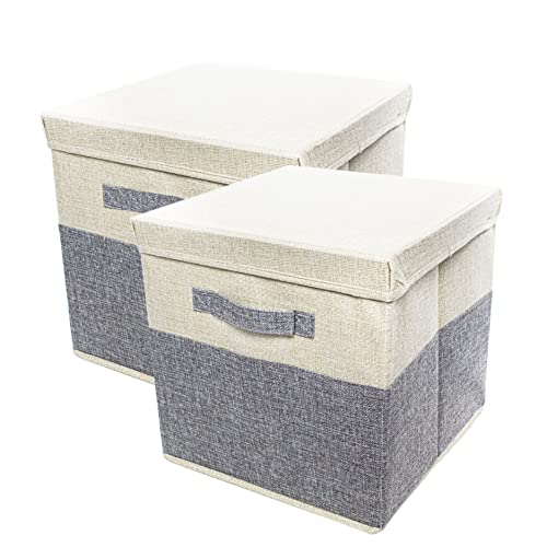 Cubes de Rangement avec Couvercles, Boîtes de Rangement Pliables, Lot de 2, Ensemble de Paniers de Rangement en Tissu pour Unités de Rangement, Maisons et Bureaux - 30cm x 30cm x 30cm (Beige et Gris)