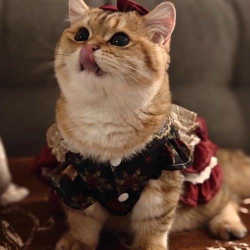 Vestido de Princesa para Perros Pequeños M Rojo miniatura 6
