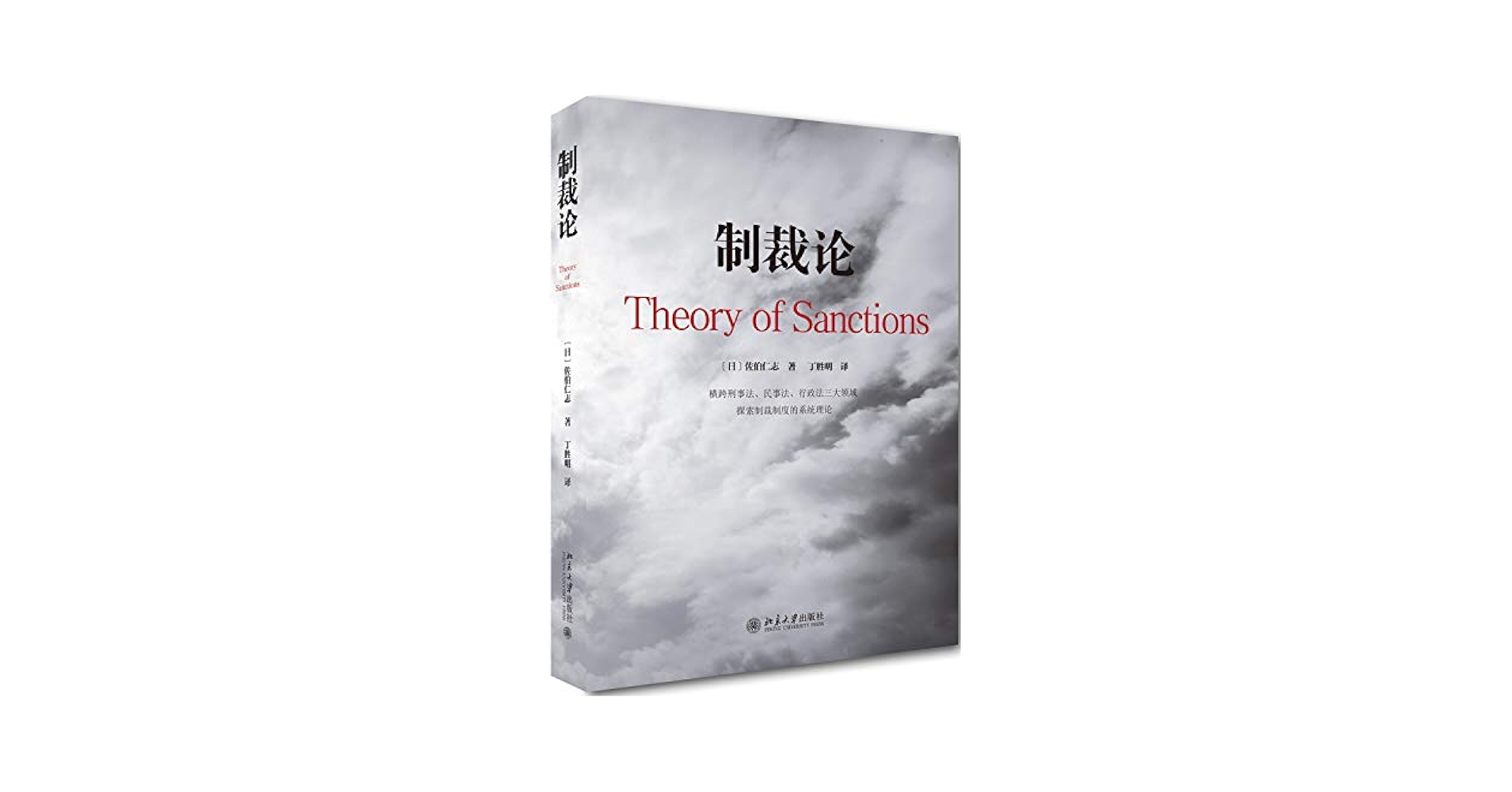Amazon.co.jp: 制裁论: 佐伯仁志: Japanese Books