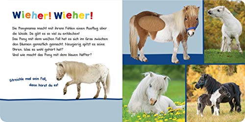 Hör mal rein, wer kann das sein? – Kuschelige Tiere: Streicheln und hören | Hochwertiges Pappbilderbuch mit 5 Sounds und Fühlelementen für Kinder ab 6 Monaten